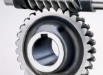 gear-worm
